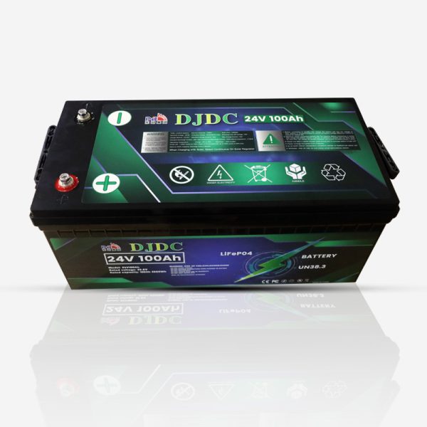 24V100Ah IPS LiFePO4 Battery - Image 2